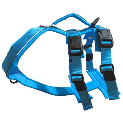 HARNAIS ATLAS BLEU XL +/ - 46 lbs – 73 lbs - Moi & Mon Humain
