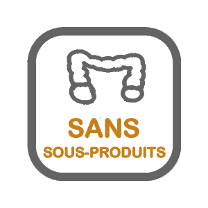 Nourriture Sèche Pour Chien Sans Grains *Agneau* - Pulsar Horizon