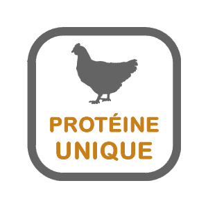 Nourriture Sèche Pour Chien Sans Grains *Agneau* - Pulsar Horizon