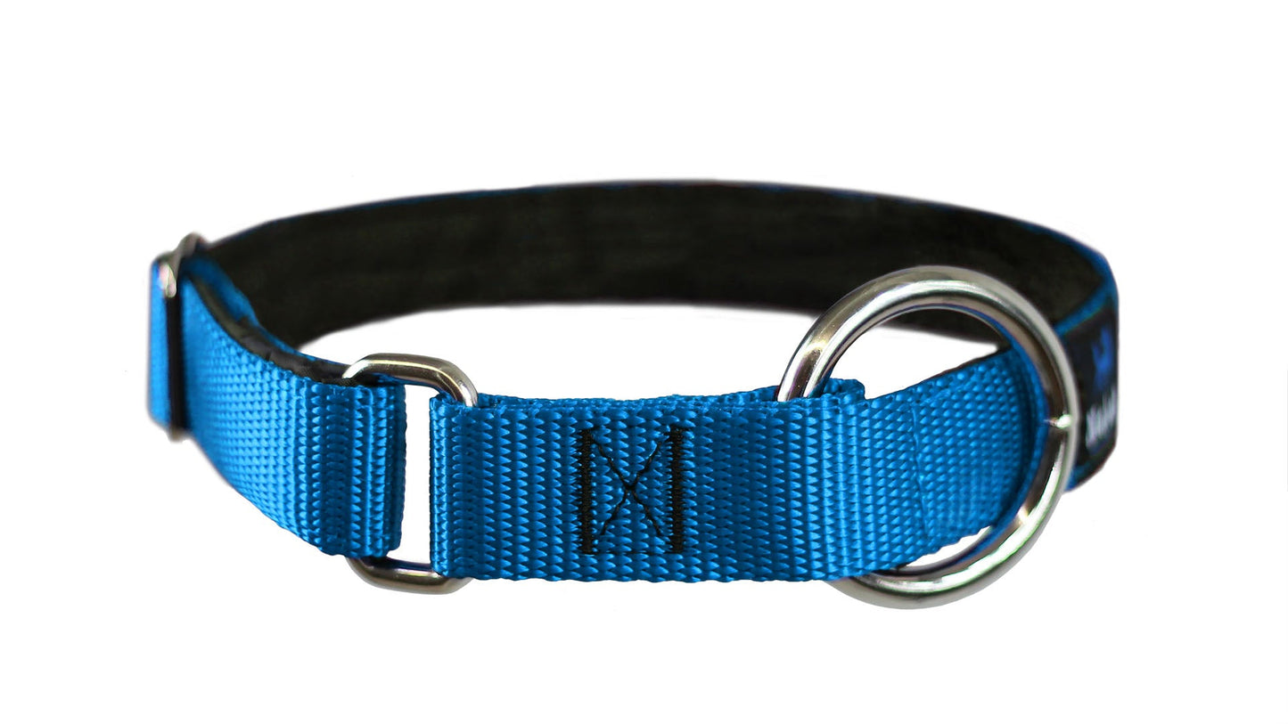Collier pour chiens/ rembourré