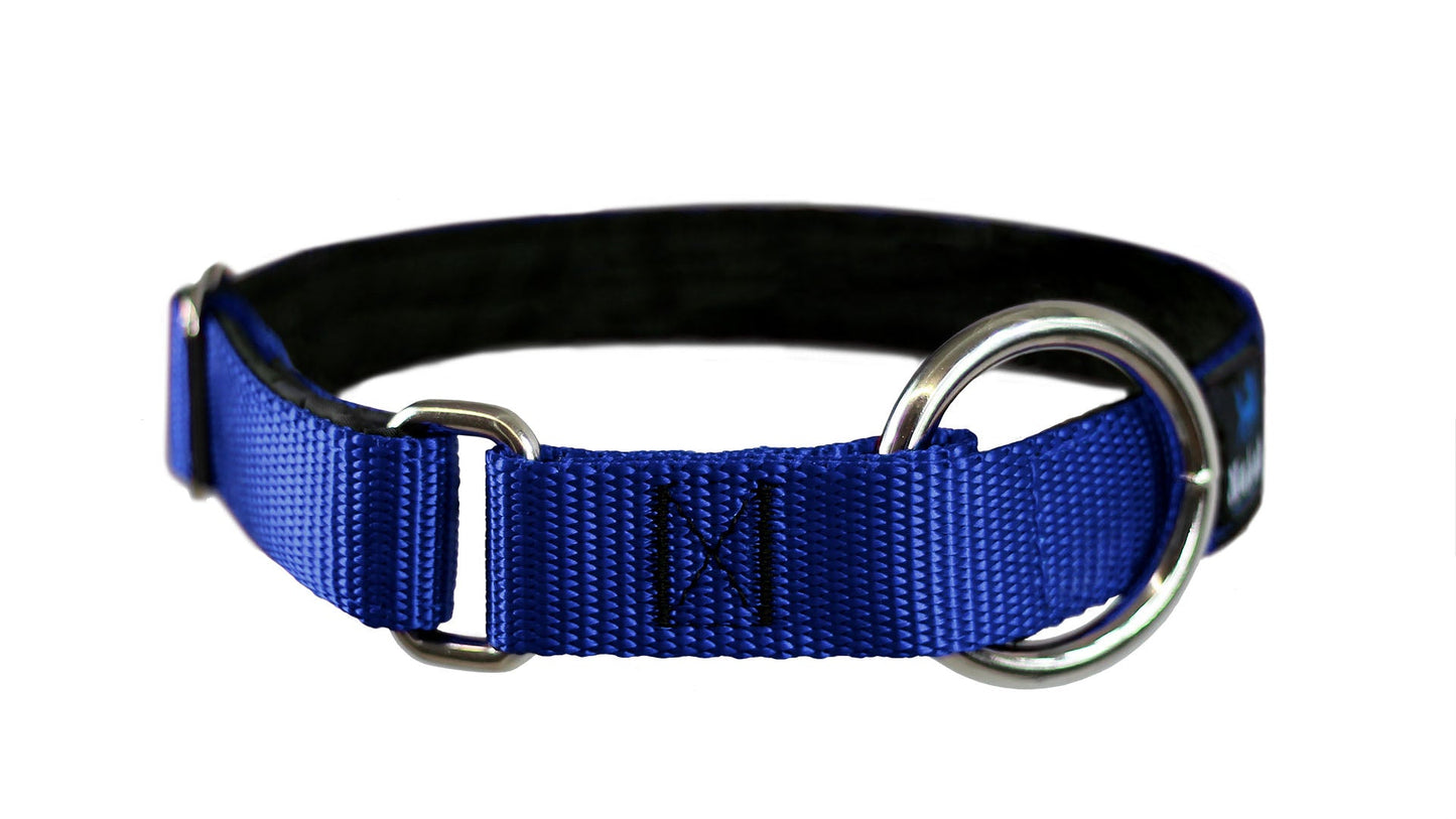 Collier pour chiens/ rembourré