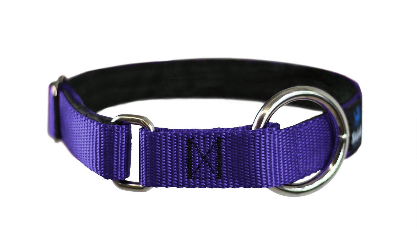 Collier pour chiens/ rembourré