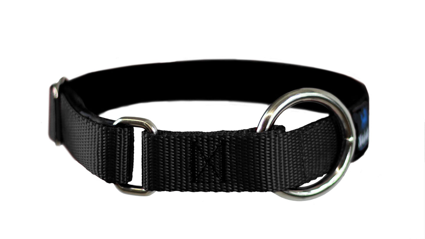 Collier pour chiens/ rembourré