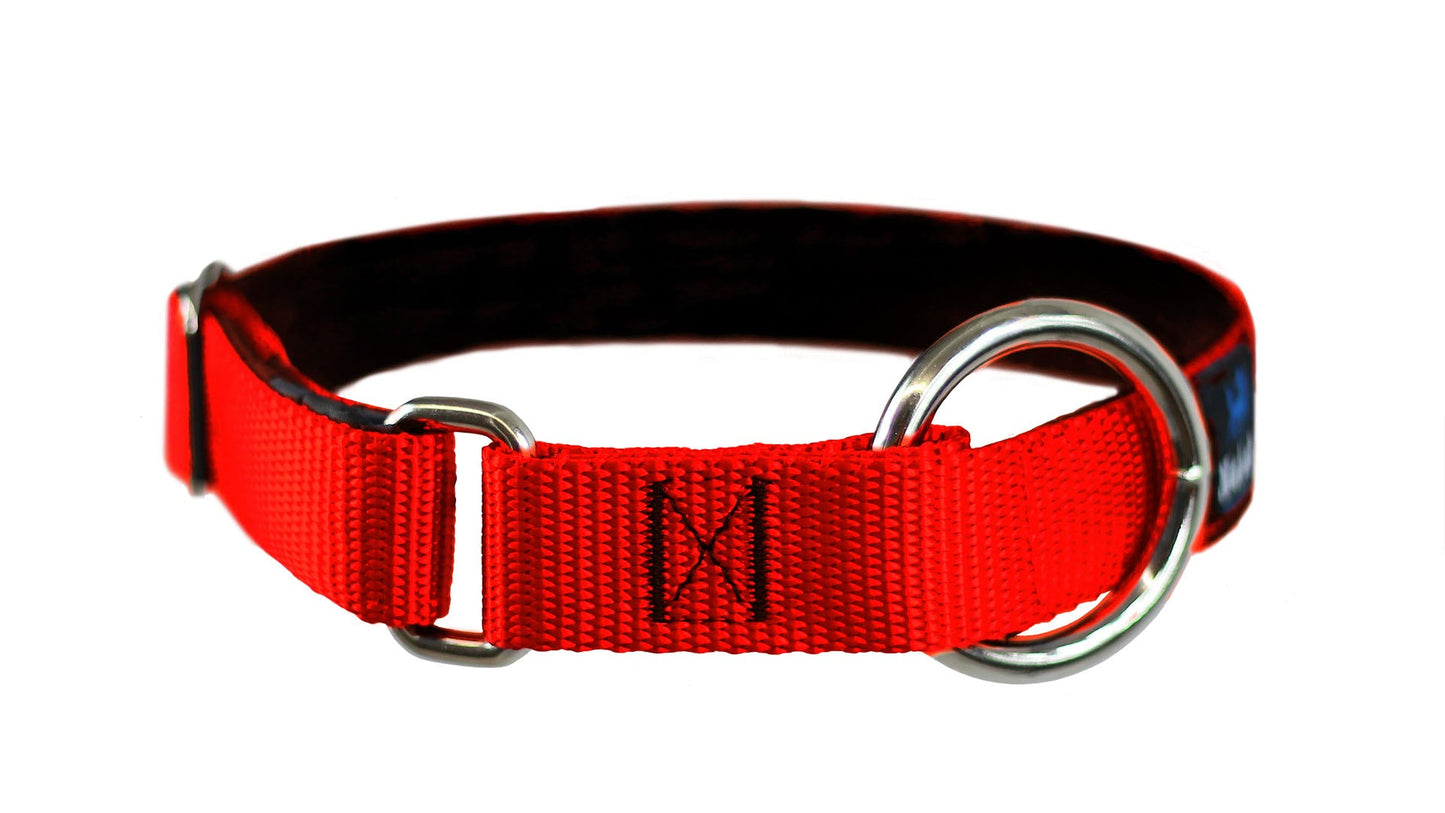 Collier pour chiens/ rembourré