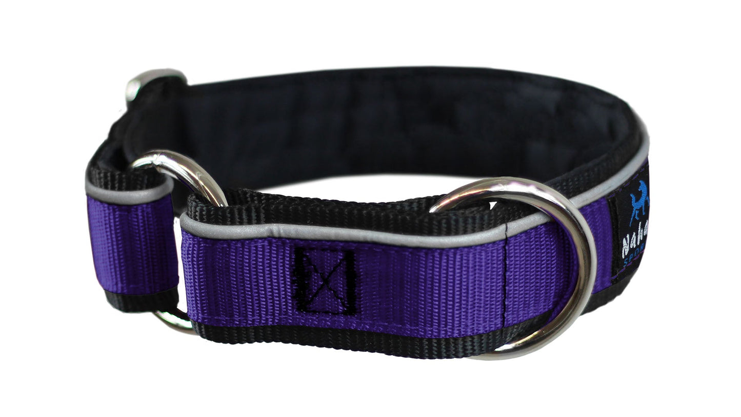 Collier pour chiens/ rembourré avec réflecteur