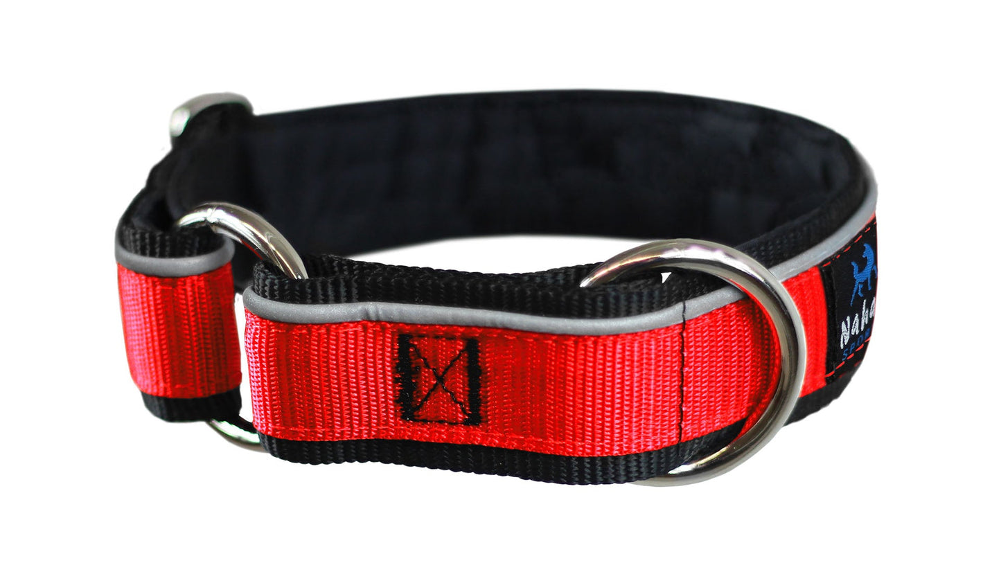 Collier pour chiens/ rembourré avec réflecteur