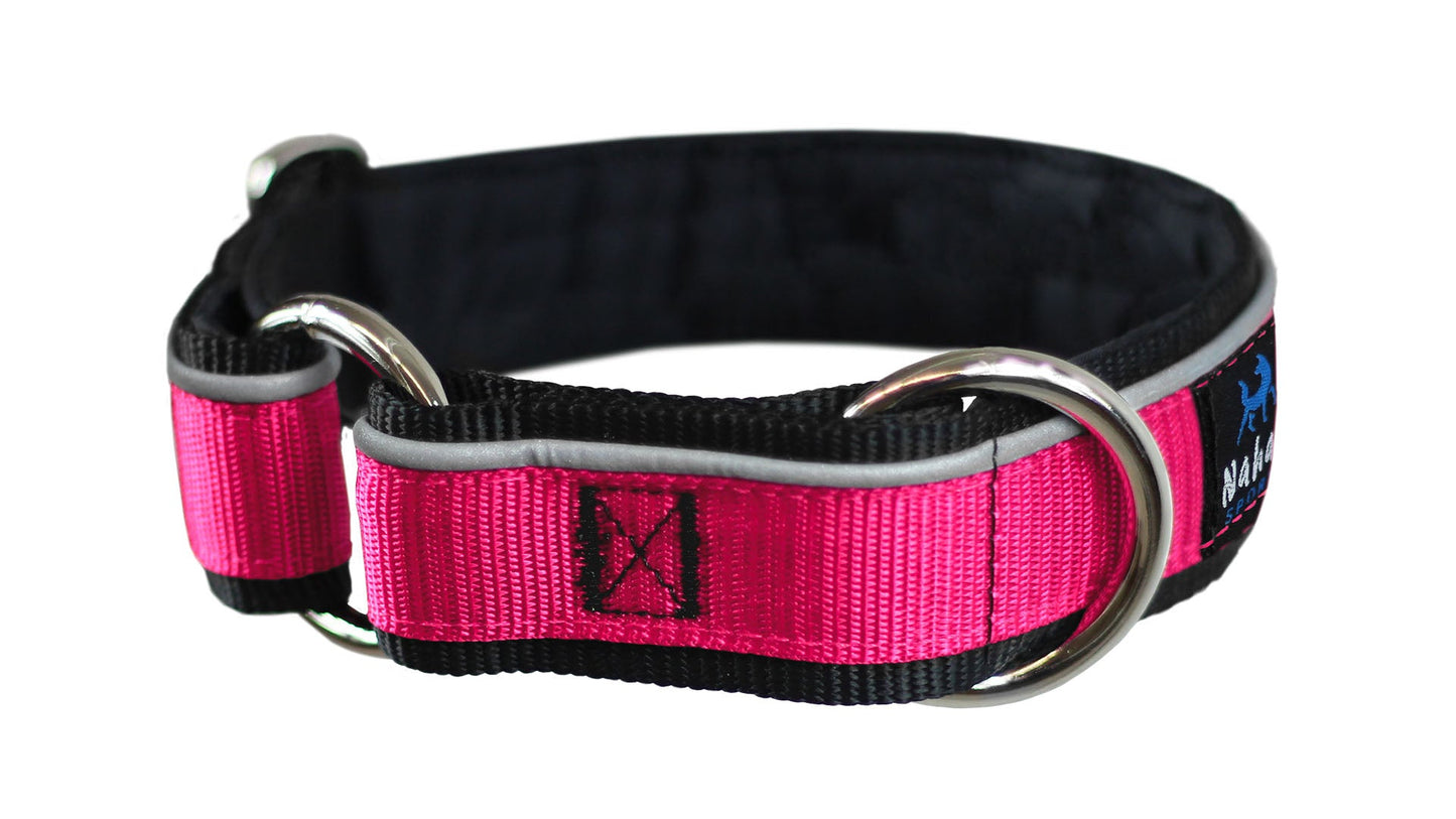 Collier pour chiens/ rembourré avec réflecteur