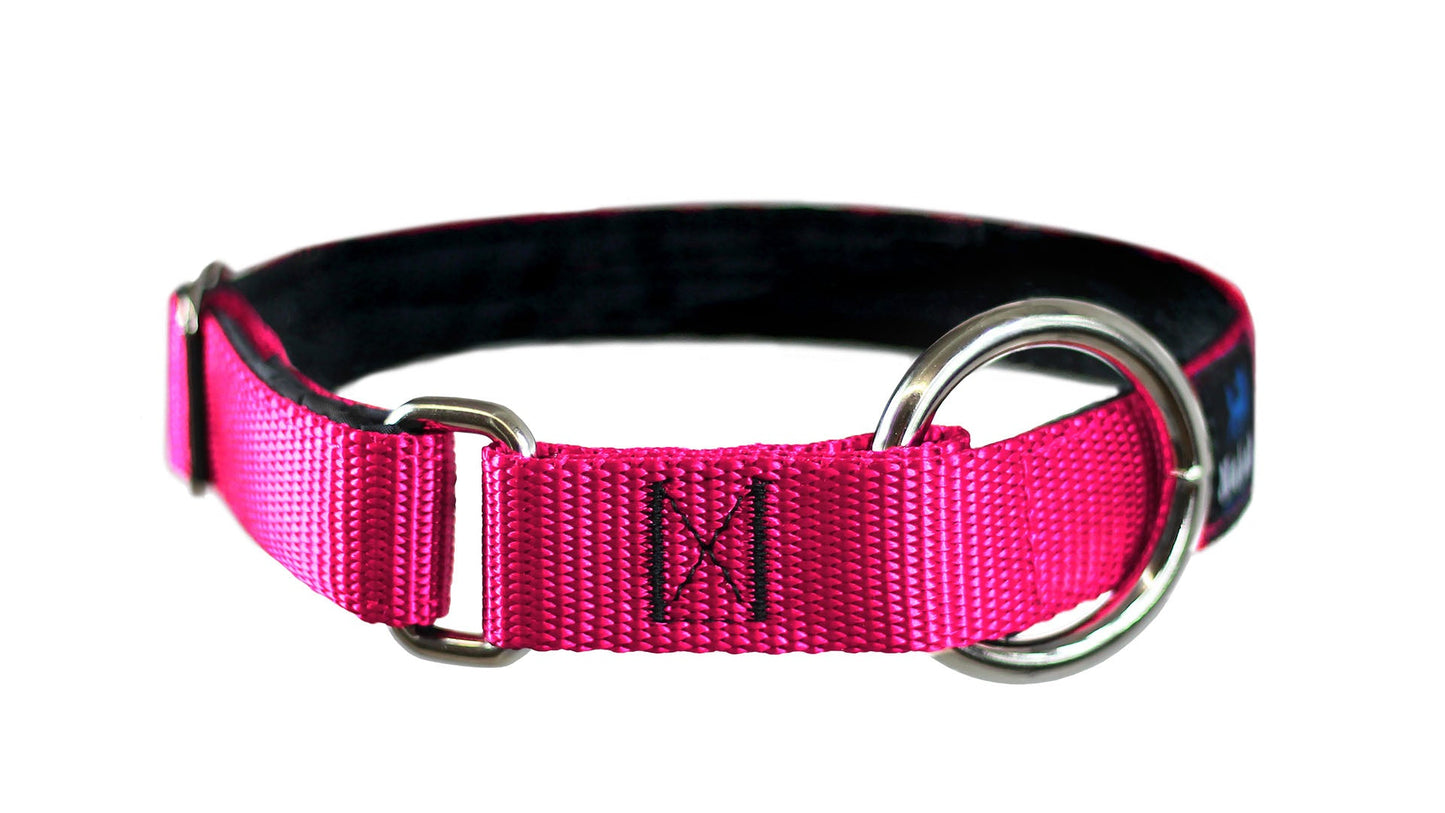Collier pour chiens/ rembourré