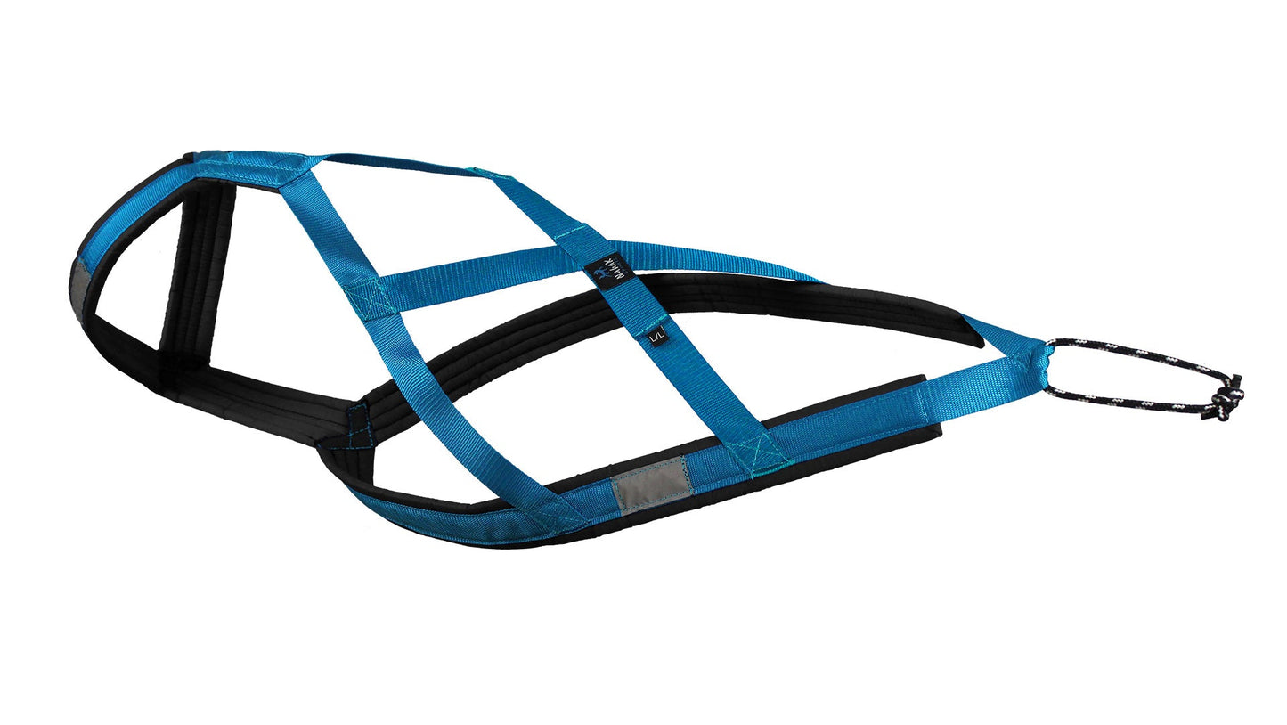 Harnais de Traction pour chiens