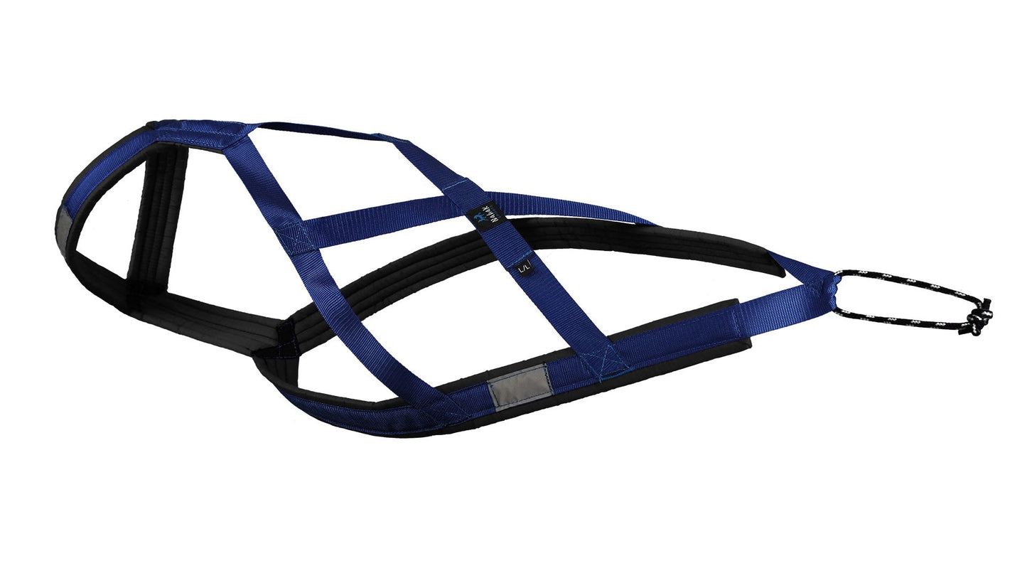 Harnais de Traction pour chiens
