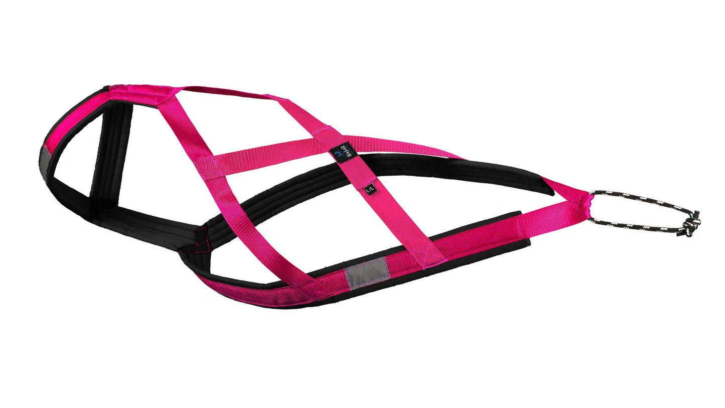 Harnais de Traction pour chiens