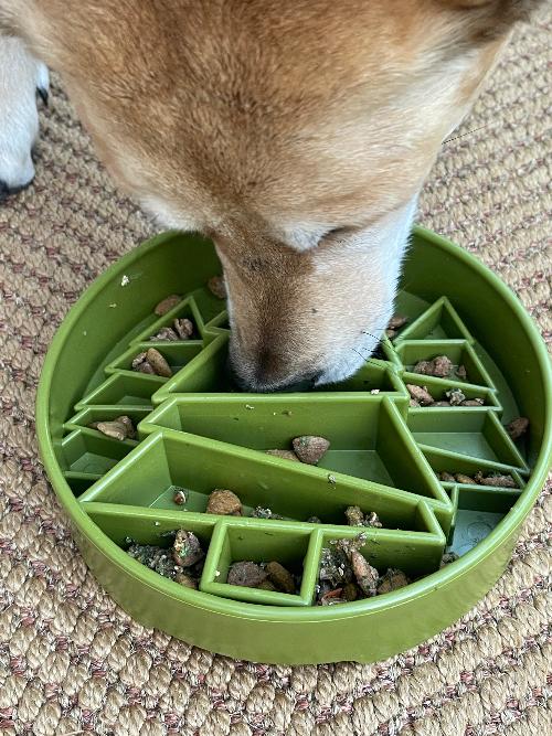 Bol Ralentisseur Pour Chien Sapin 'ebowl'