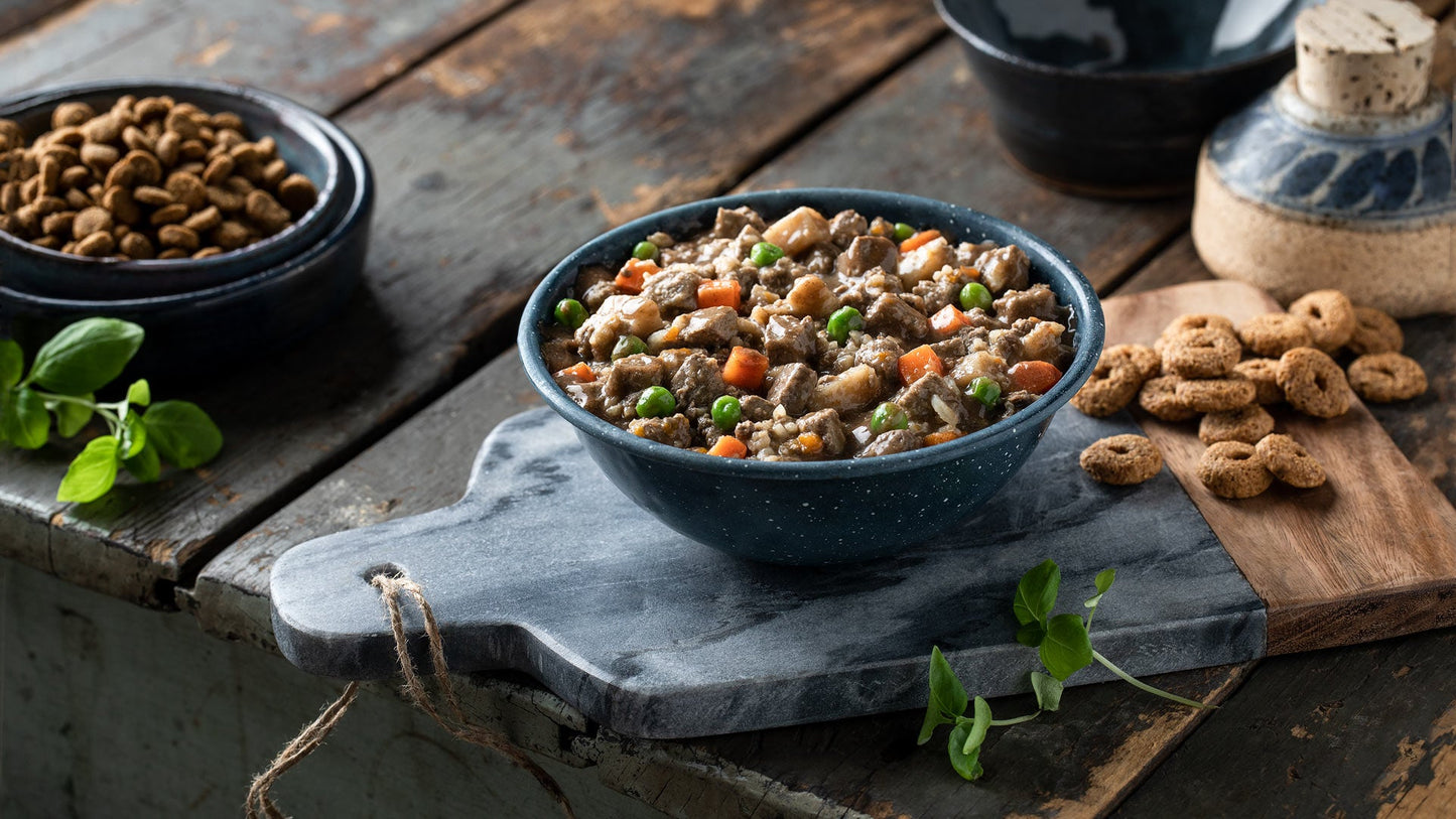 Nourriture En Conserve Pour Chien *Porc Frommbalaya* - Fromm