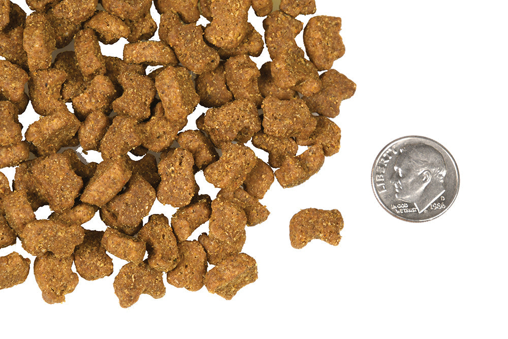 Nourriture Sèche Pour Chien Sans Grains *Agneau et Lentilles* - Fromm Four-Star