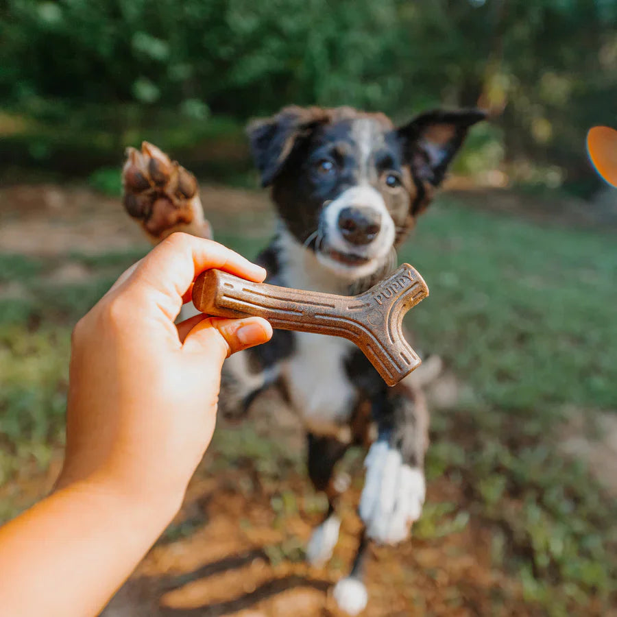 Jouet à mâcher pour Chiots Bâton'stick'' Benebone