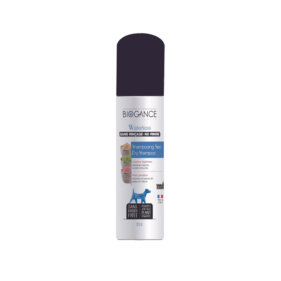Shampoing sec sans rinçage pour chien