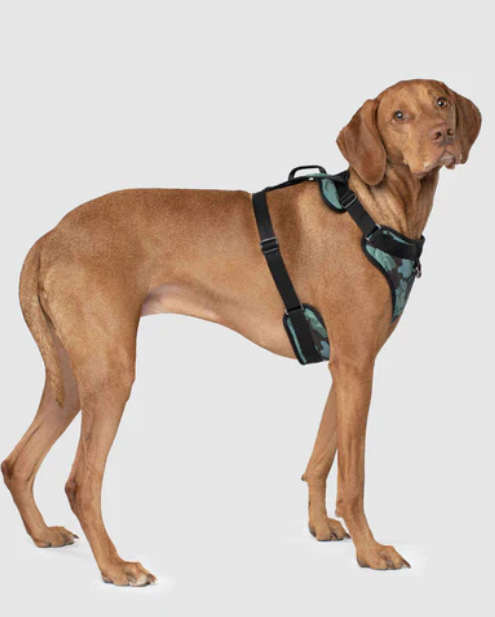 Harnais 3 en 1 Canada Pooch Camo