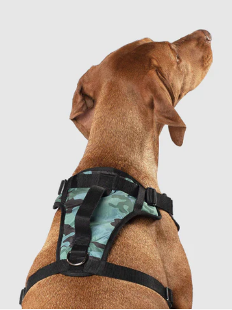 Harnais 3 en 1 Canada Pooch Camo