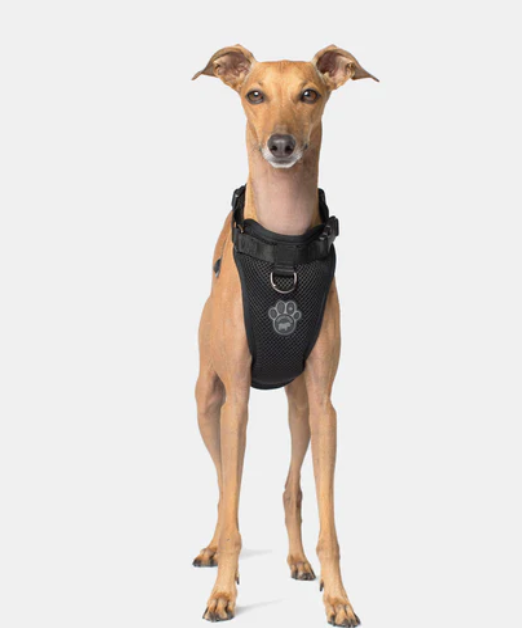 Harnais 3 en 1 Canada Pooch Noir