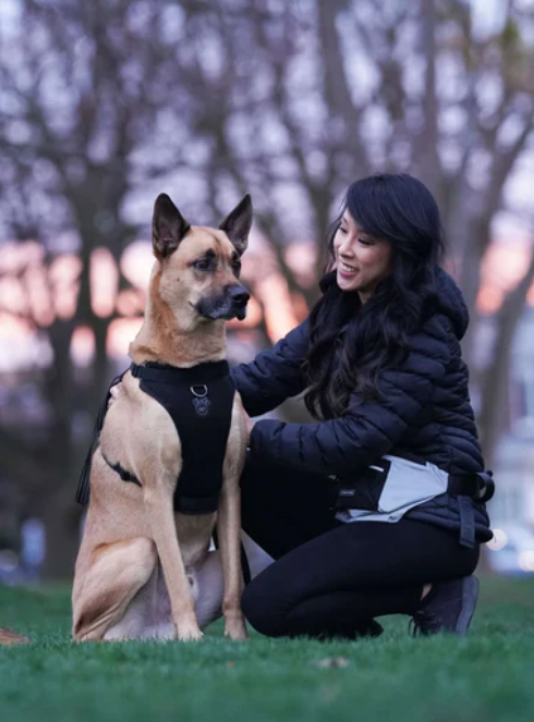 Harnais 3 en 1 Canada Pooch Noir