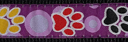 Laisse Chien Hunter Pattes Mauves