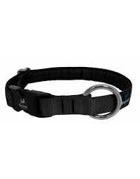 Collier Nahak pour chiens/ rembourré avec clip
