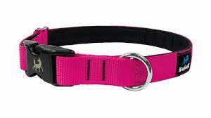 Collier Nahak pour chiens/ rembourré avec clip