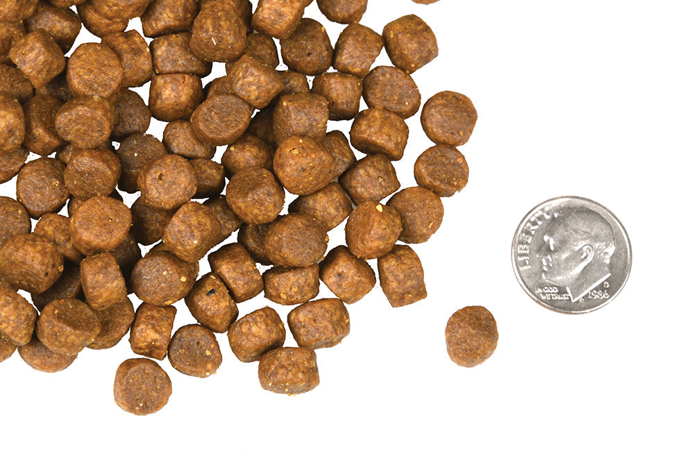 Nourriture Sèche Pour Chien Sans Grains *Pré Et Marée* - Fromm Four-Star