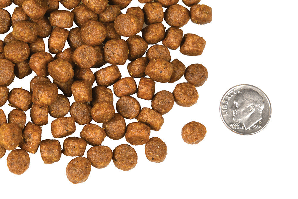 Nourriture Sèche Pour Chien Sans Grains *Boeuf Frittata à la Végé* - Fromm Four-Star