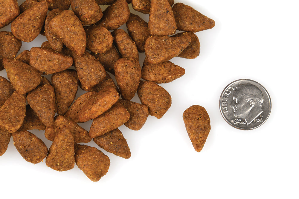 Nourriture Sèche Pour Chien Sans Grains *Poulet au Fromage* - Fromm Four-Star