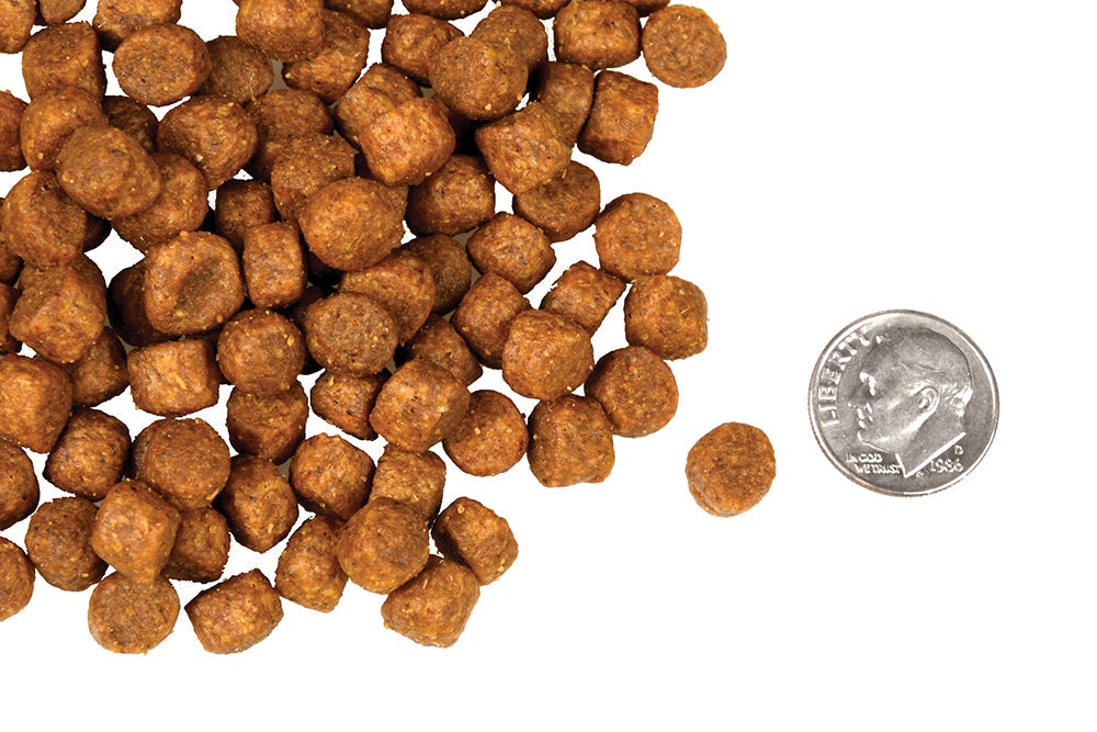 Nourriture Sèche Pour Chien Sans Grains *Game Bird* - Fromm Four-Star