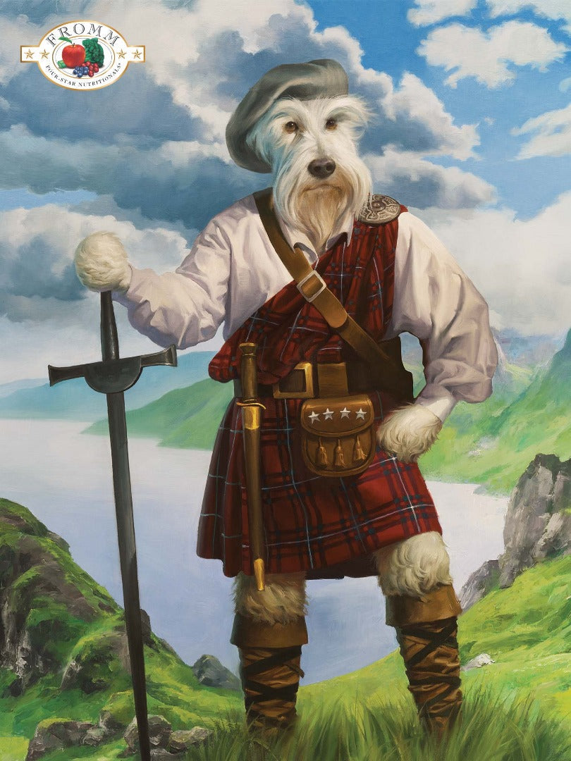 Nourriture Sèche Pour Chien *Highlander au Boeuf* - Fromm Four-Star