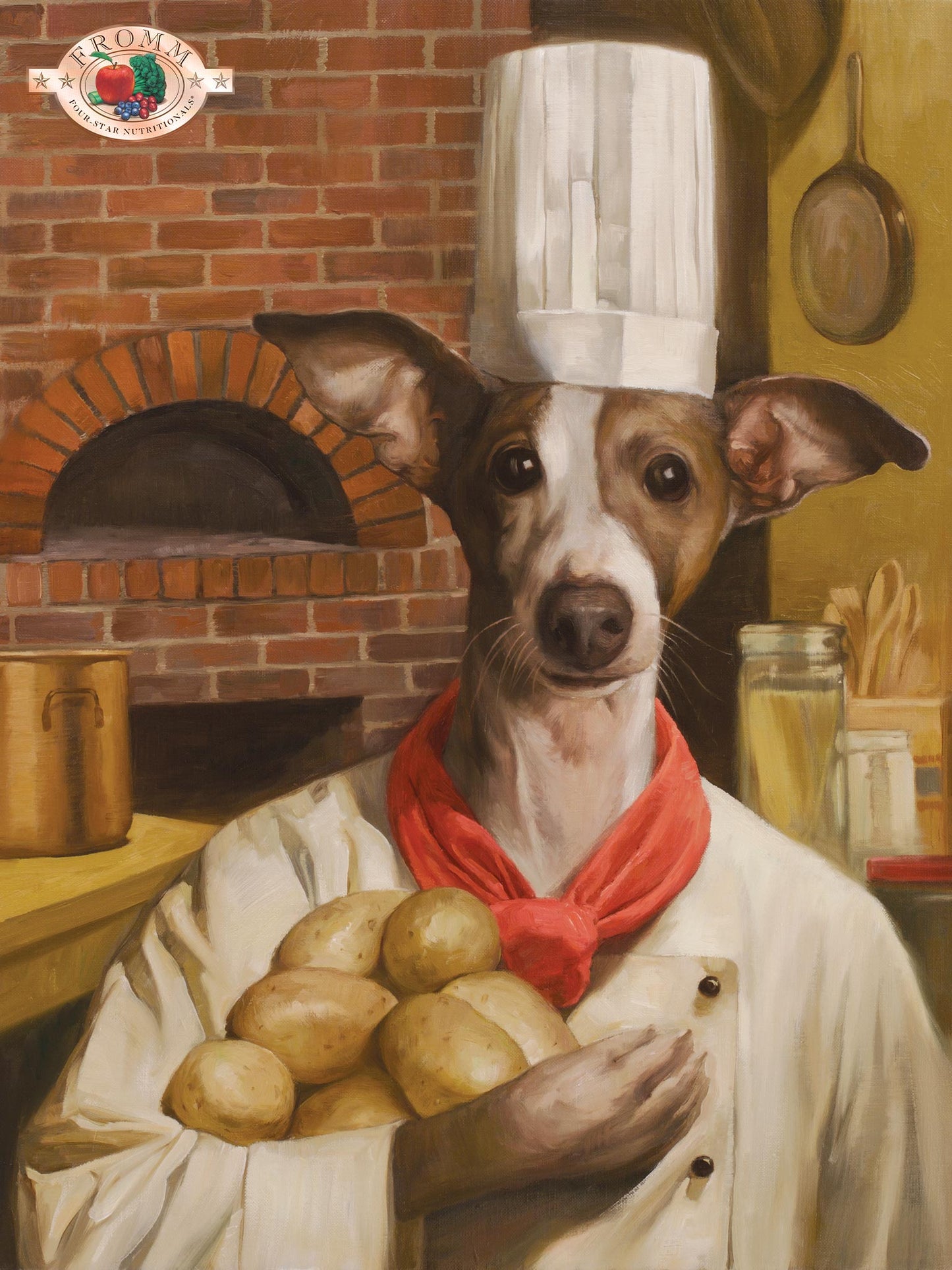 Nourriture Sèche Pour Chien *Porc et Pommes* - Fromm Four-Star
