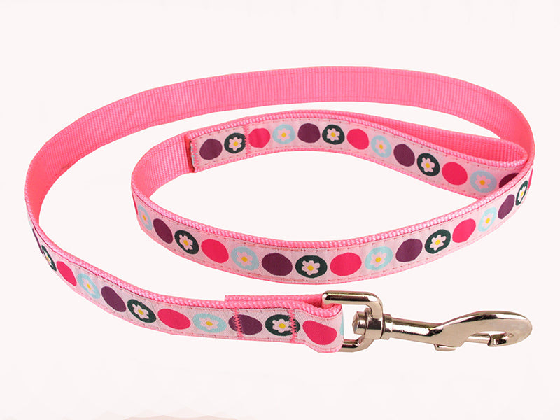 Laisse Hunter Pour Chien Simple Poignée 3/4'' X 48''