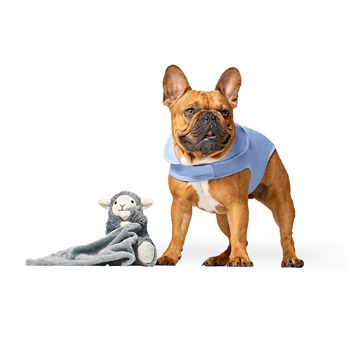 Jouet Calmant Pour Chien De Canada Pooch