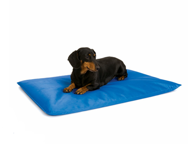 Tapis Rafraichissant pour Chiens Bleu 'Cool Bed III'
