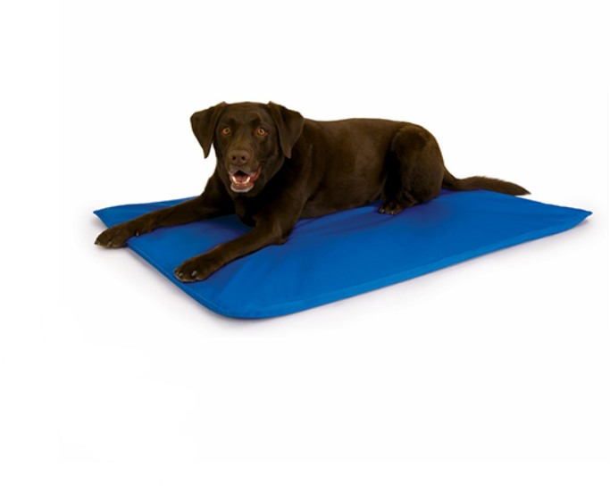 Tapis Rafraichissant pour Chiens Bleu 'Cool Bed III'