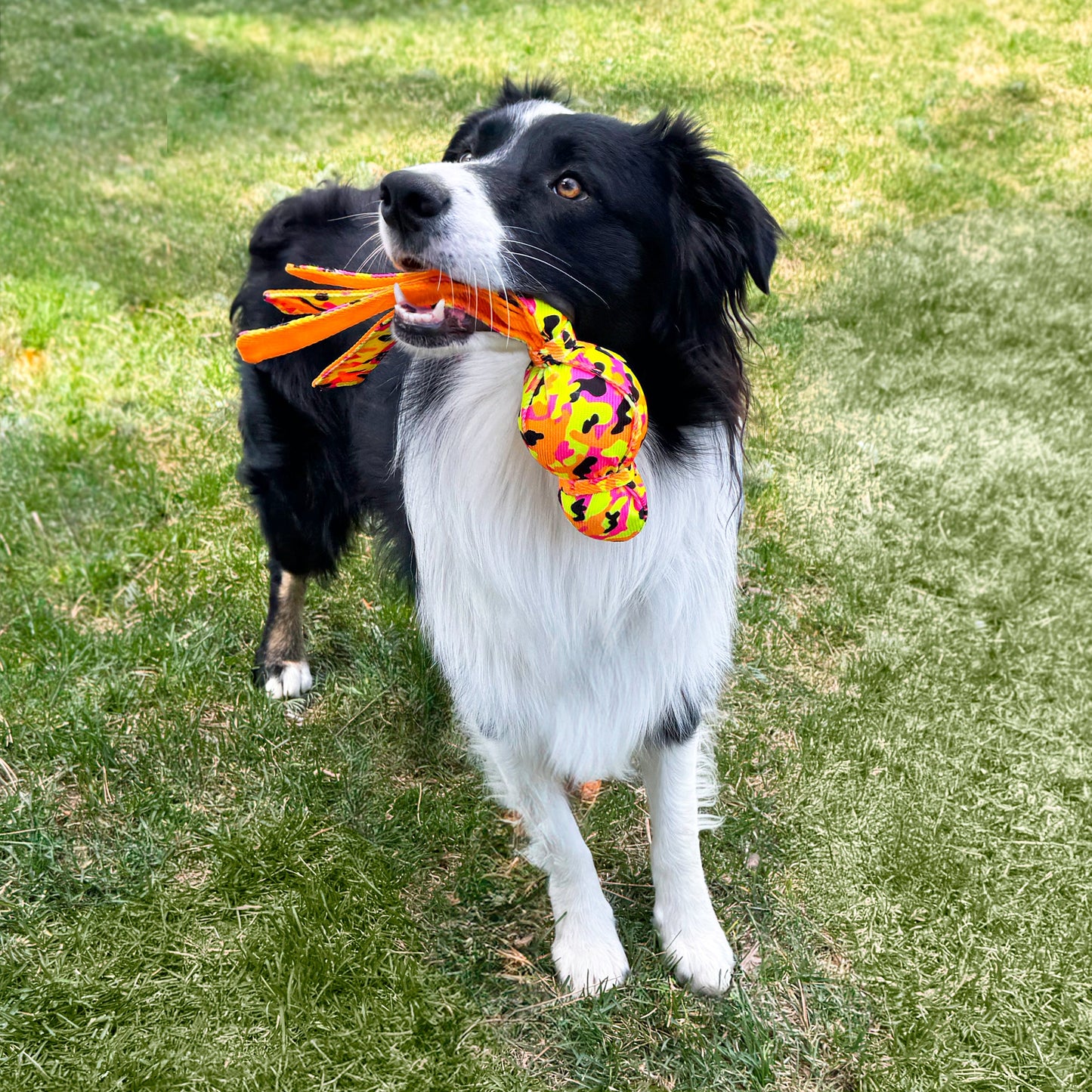 Jouet Kong Pour Chien Wubba™ ''High-Viz'' Wubba