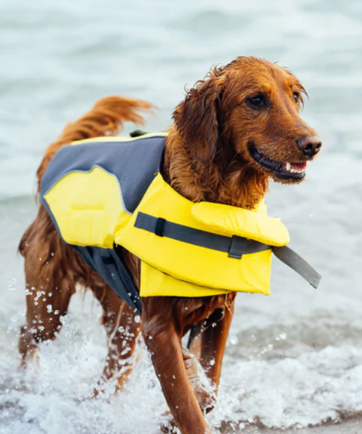 Veste de Flottaison - Jaune - Canada Pooch