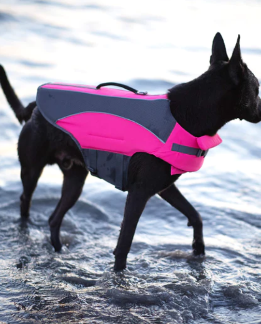 Veste de Flottaison - Rose - Canada Pooch