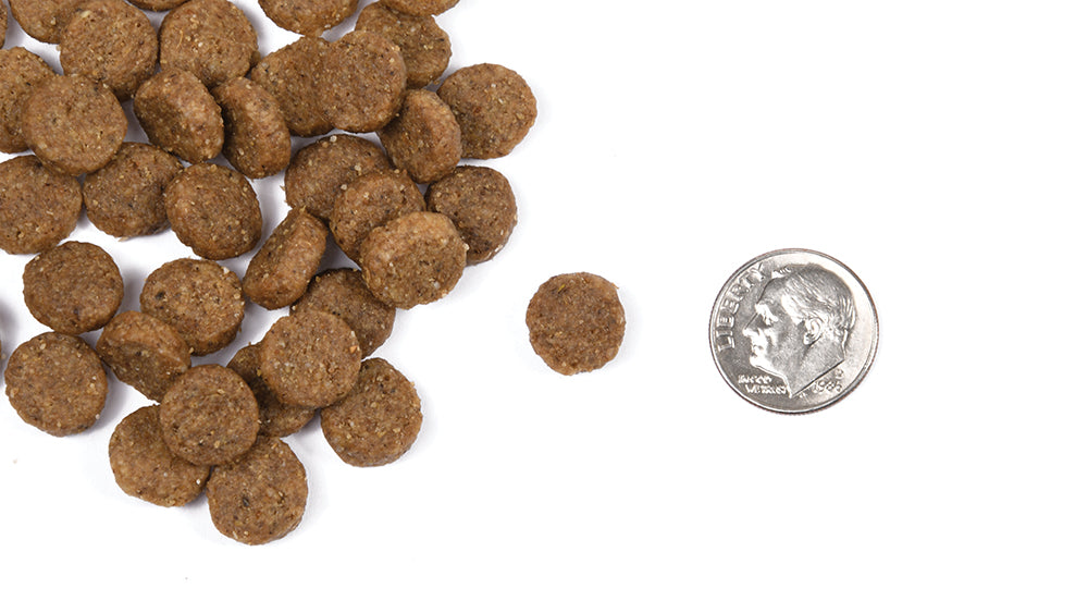 Nourriture Sèche Pour Chien Classique Adulte - Fromm