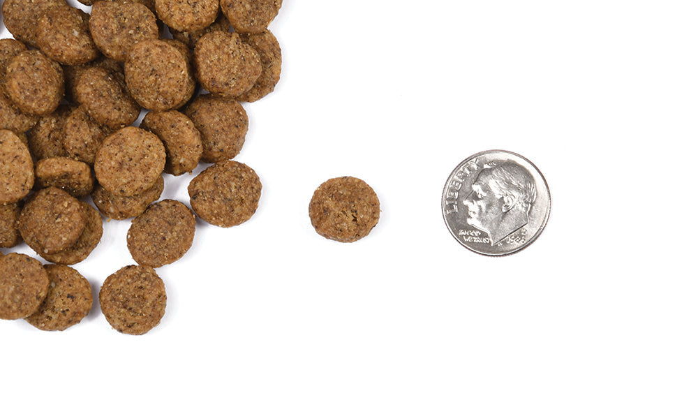 Nourriture Sèche Pour Chien Classique Mature - Fromm