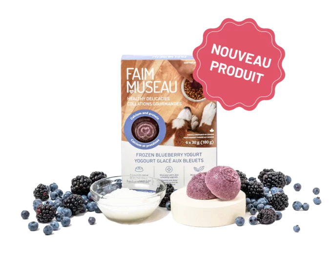 Yogourt glacé aux bleuets