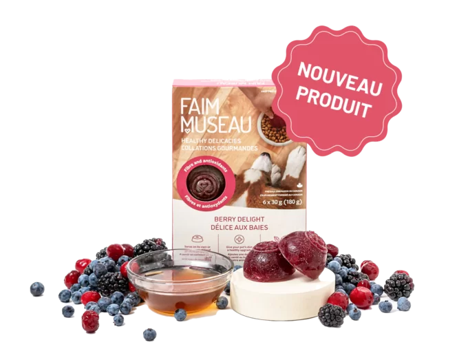 Délice aux baies