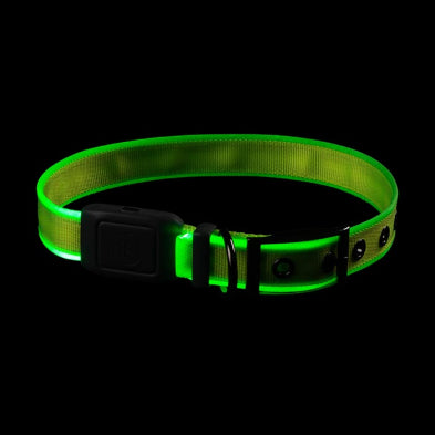 Collier Lumineux Pour Chien Nite ize