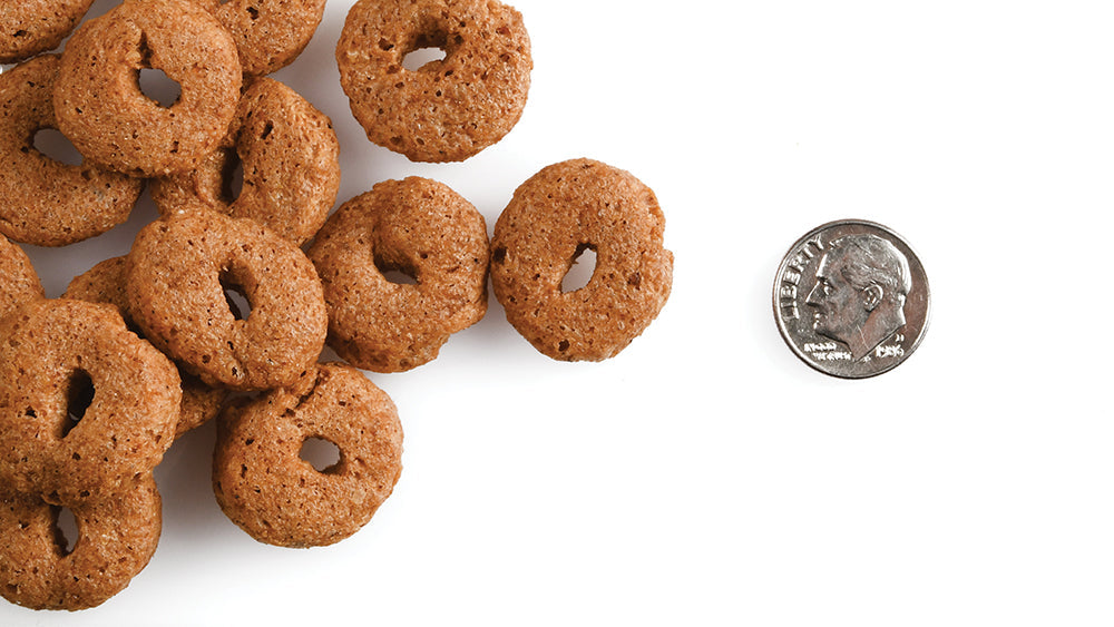 Gâteries Pour Chien Crunchy'os au Saumon Multi Grains - Fromm