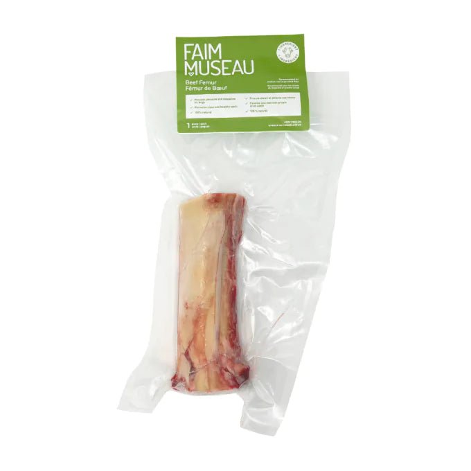 Fémur de Bœuf x 1 - Moi & Mon Humain