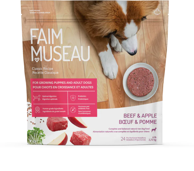 Un bol de nourriture crue Chien devant un bol de nourriture crue Faim Museau Bœuf & Pomme