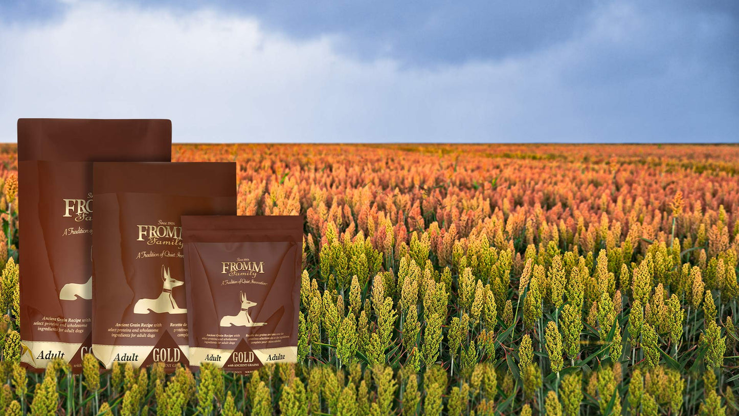 Nourriture Sèche Pour Chien Gold Grains Ancients - Fromm