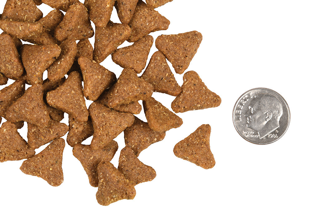 Nourriture Sèche Pour Chien Gold Grains Ancients - Fromm